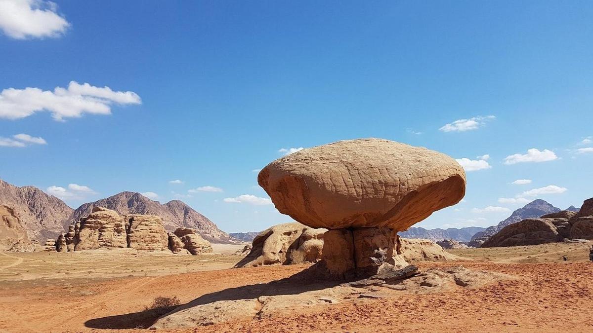 Moon City With Jeep Trips Wadi Rum Bagian luar foto