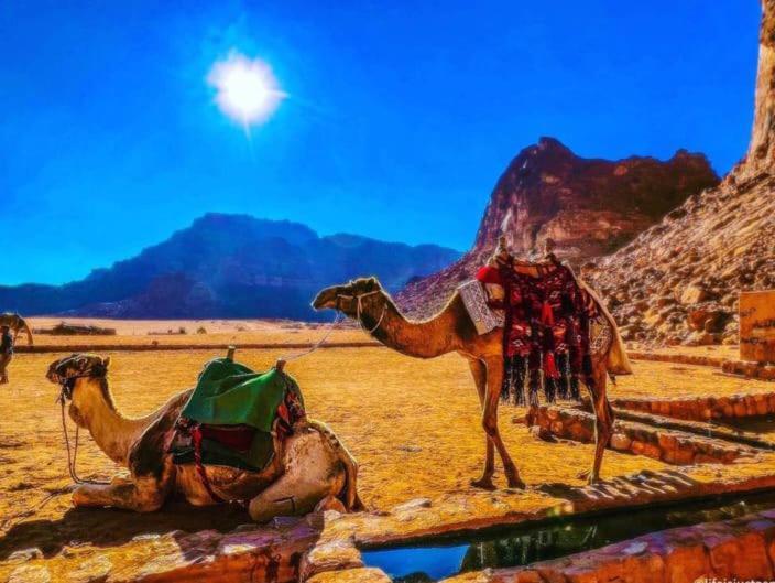 Moon City With Jeep Trips Wadi Rum Bagian luar foto