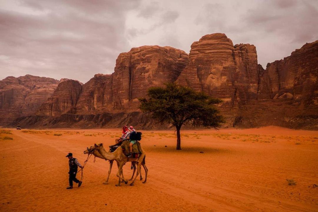 Moon City With Jeep Trips Wadi Rum Bagian luar foto