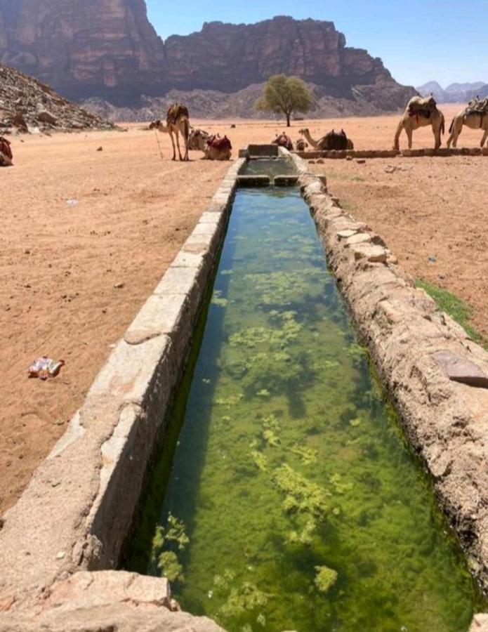 Moon City With Jeep Trips Wadi Rum Bagian luar foto