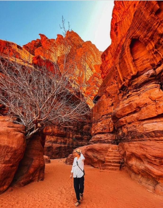 Moon City With Jeep Trips Wadi Rum Bagian luar foto